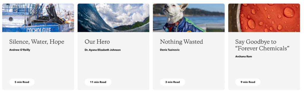 Patagonia: 10 Copywriting Secrets Every Growth Marketer Should Know